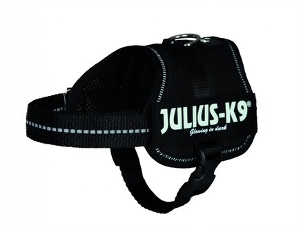 Julius-k9