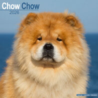 Chow Chow