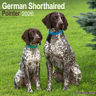 German Shorthaired Pointer