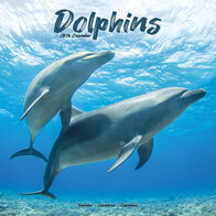 Dolphins