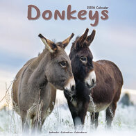 Donkeys
