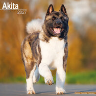 Akita