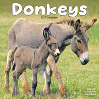Donkeys