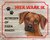 Bord Hier waak ik Rhodesian ridgeback