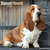 Basset