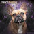 Franse Bulldog