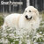 Great Pyrenees