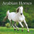 Arabian Horses