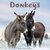 Donkeys