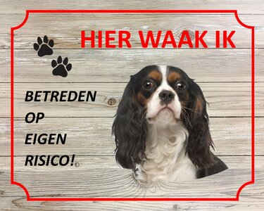 Bord Hier waak ik Cavalier king charels spaniel