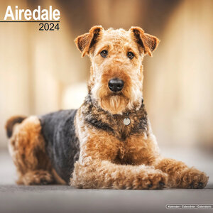 Airedale