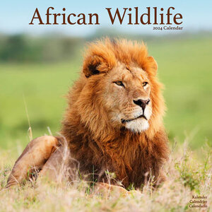 African Wildlife