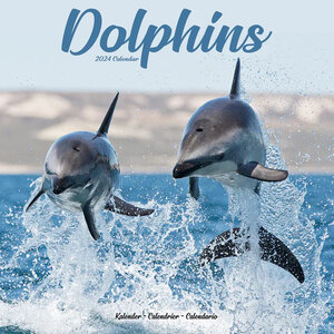 Dolphins