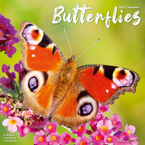 Butterflies