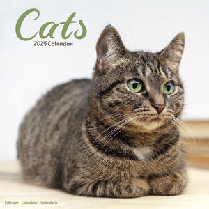 Cats