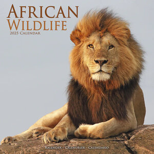African Wildlife