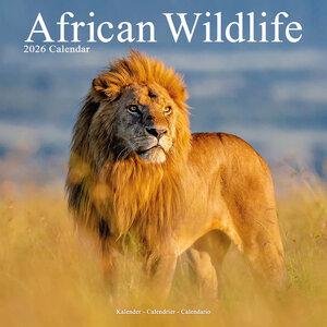 African Wildlife