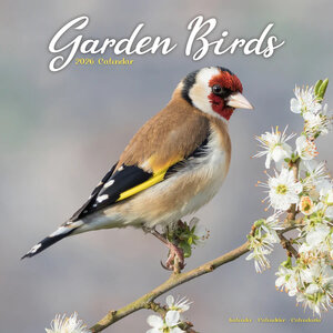 Garden Birds