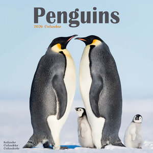 Penguins