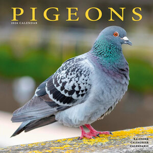 Pigeons