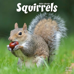 Squirrels