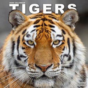 Tigers
