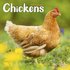 Chickens_
