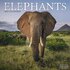 Elephants_