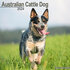 Australian Cattle Dog_