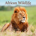 African Wildlife_