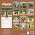 Alpacas_