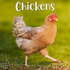 Chickens_