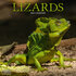 Lizards_