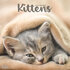 Kittens_
