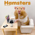 Hamsters_