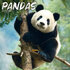 Pandas_