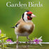 Garden Birds_