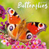 Butterflies_