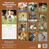 American Staffordshire Terrier_