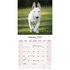 Bull Terrier_