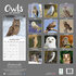 Owls_