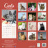 Cats_