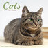Cats_