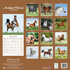 Arabian Horses_