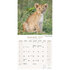 African Wildlife_