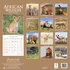 African Wildlife_