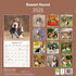 Basset_