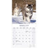 Alaskan Malamute_