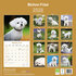 Bichon Frisé_