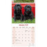 Black Labrador_